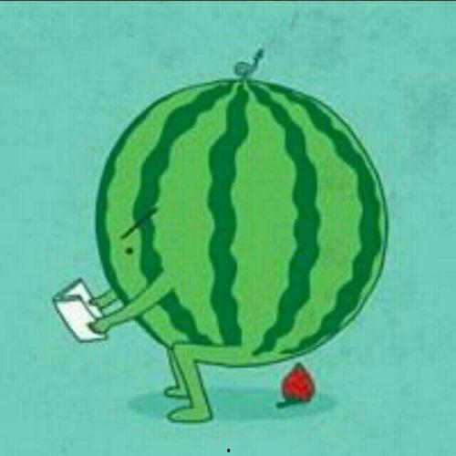 瓜在体育圈是什么意思,揭秘体育界的神秘“瓜”文化