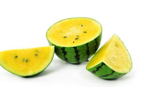 必吃大瓜 fill研究免费入口,免费入口背后的fill研究奥秘