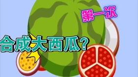 必吃大瓜 fill研究免费入口,免费入口背后的fill研究奥秘