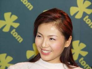 热门大瓜子 明星黑料合法吗,热门大瓜子的合法边界与争议